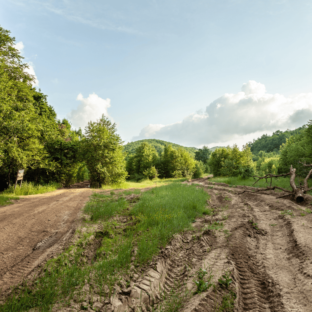 Cleared Land