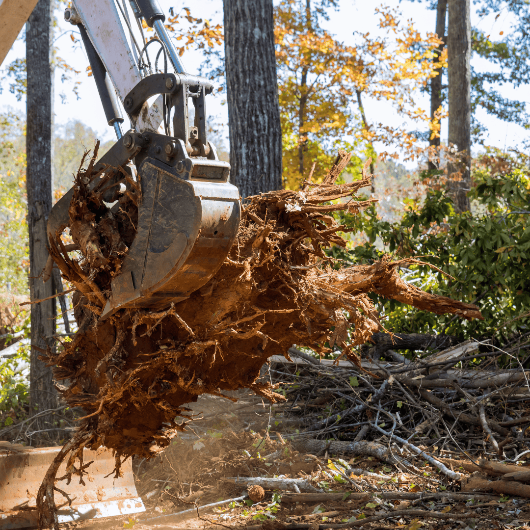 Debris Removal